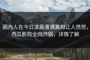 圈内人在今日凌晨遭遇真相让人愤怒，西瓜影院全网炸锅，详情了解
