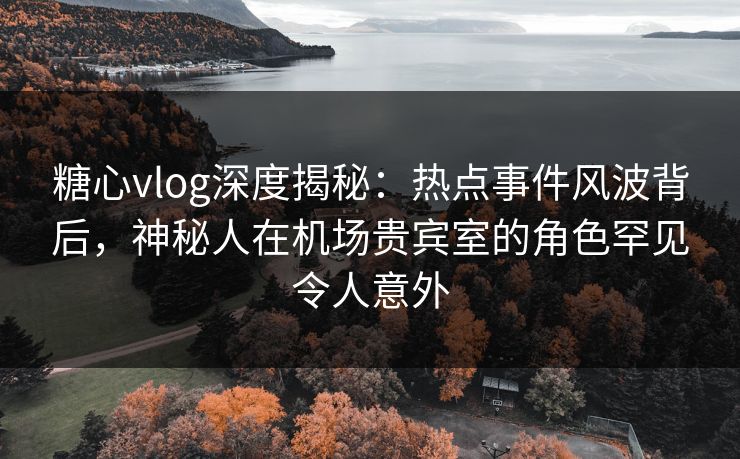 糖心vlog深度揭秘：热点事件风波背后，神秘人在机场贵宾室的角色罕见令人意外
