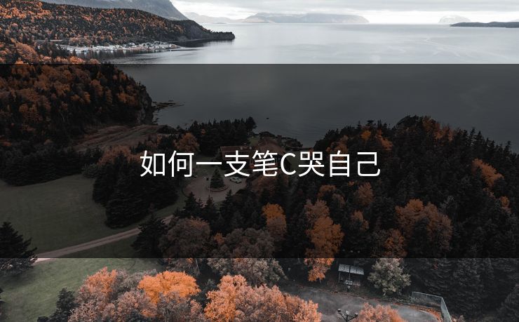 如何一支笔C哭自己